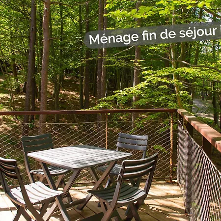 Insolite Dans Les Cevennes - Les Sous-bois De *