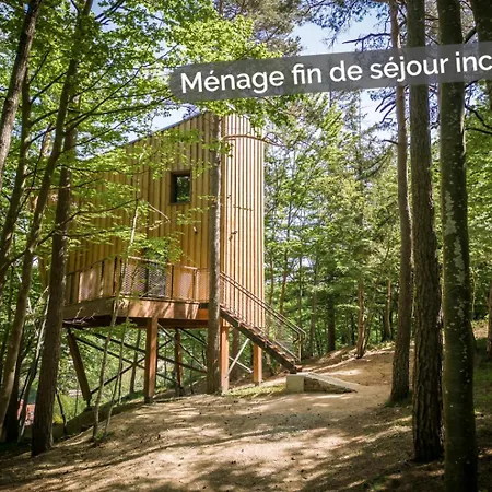 Insolite Dans Les Cevennes - Les Sous-bois De * La Bastide-Puylaurent